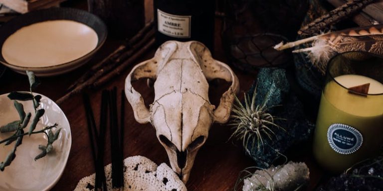 Inspiring Ideas to Decorate Your Home with the Sea Urchin – Pick Your Best Idea! Sea Urchin